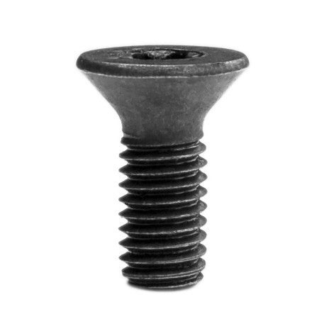 flat head torx screw