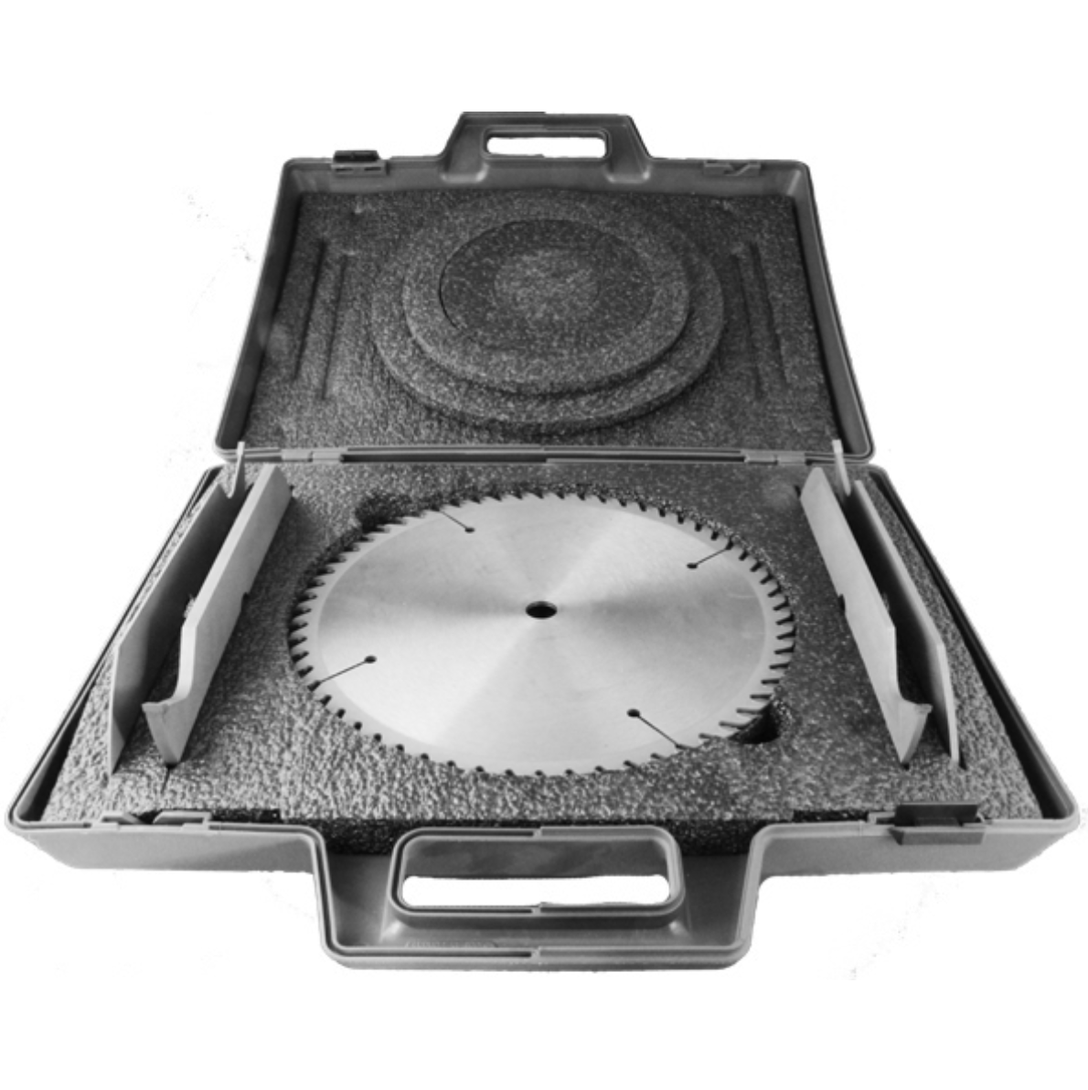 professional dado blade set in case